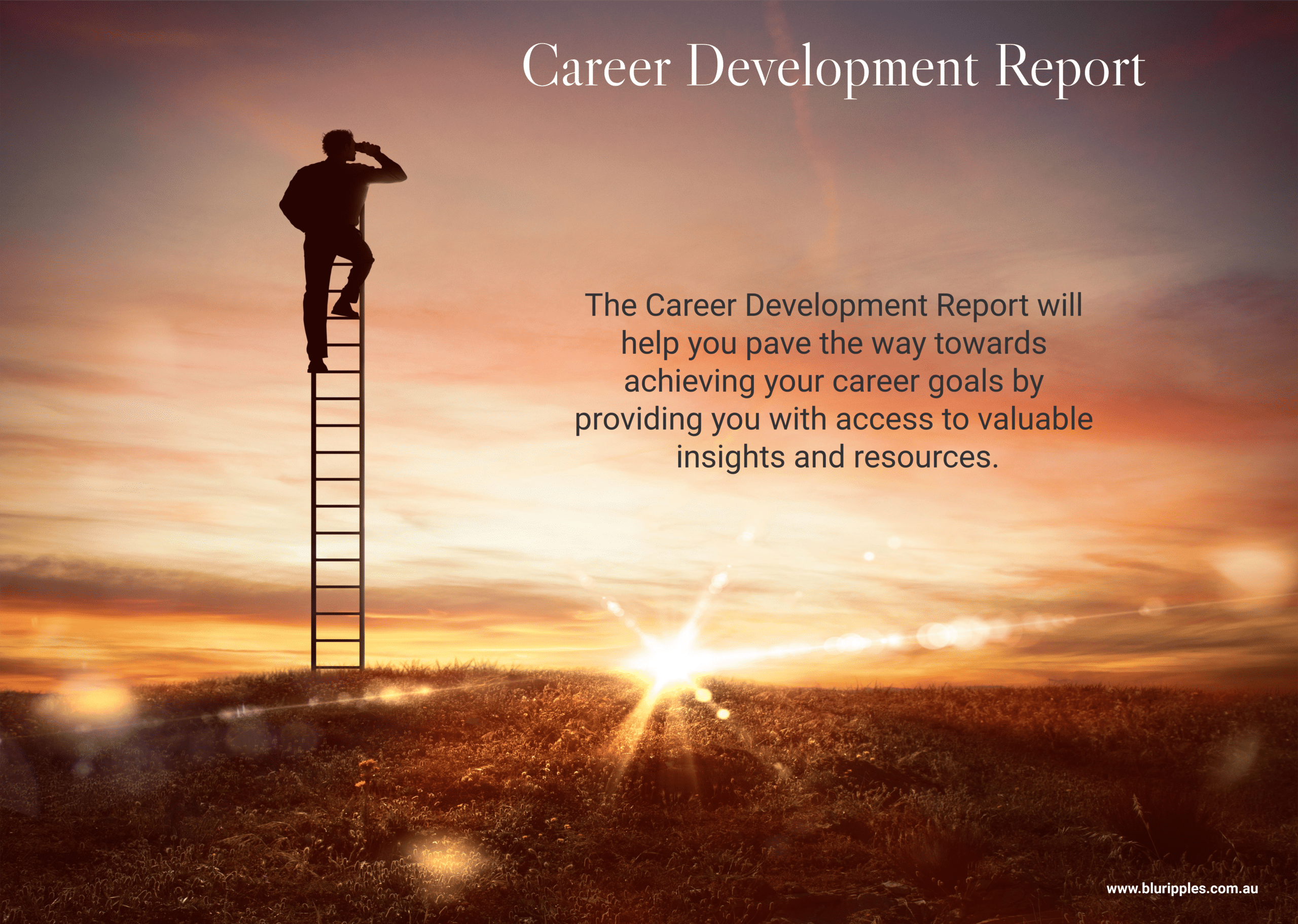 Blu Ripples Career Development Report (CDR) document. A comprehensive career planning tool integrating psychometric profiling and career interest testing to map professional pathways, goals, and strategies.