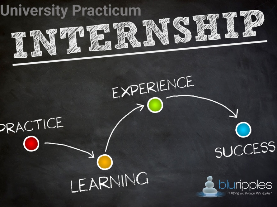 Blu Ripples Career Counselling - Career graphic showing a chalkboard roadmap from Practice and Learning to Experience and Success.