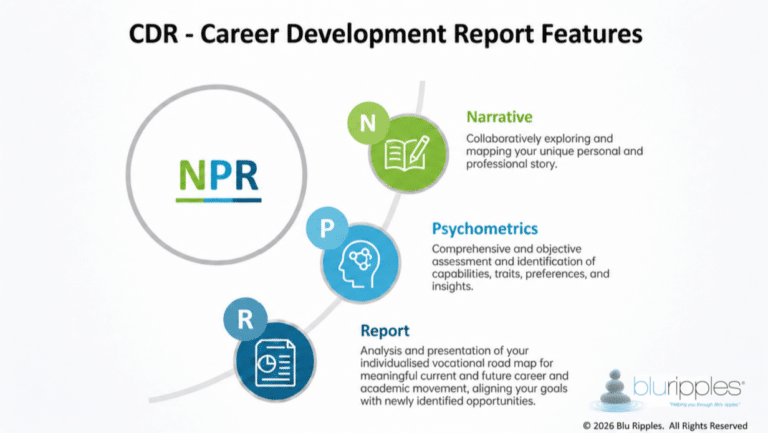 3 Pillar Framework for Blu Ripples Career Development Report - Key Features - BluRipples NSW