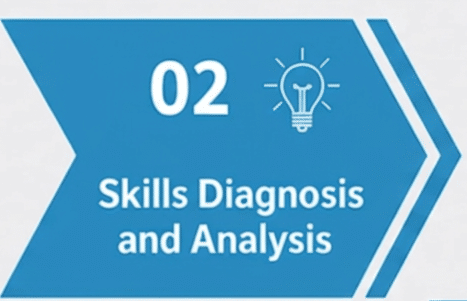 Blu Ripples Key Transferable Skills Report process graphic for Stage 02: Skills Diagnosis and Analysis, featuring a light blue chevron and a lightbulb icon.