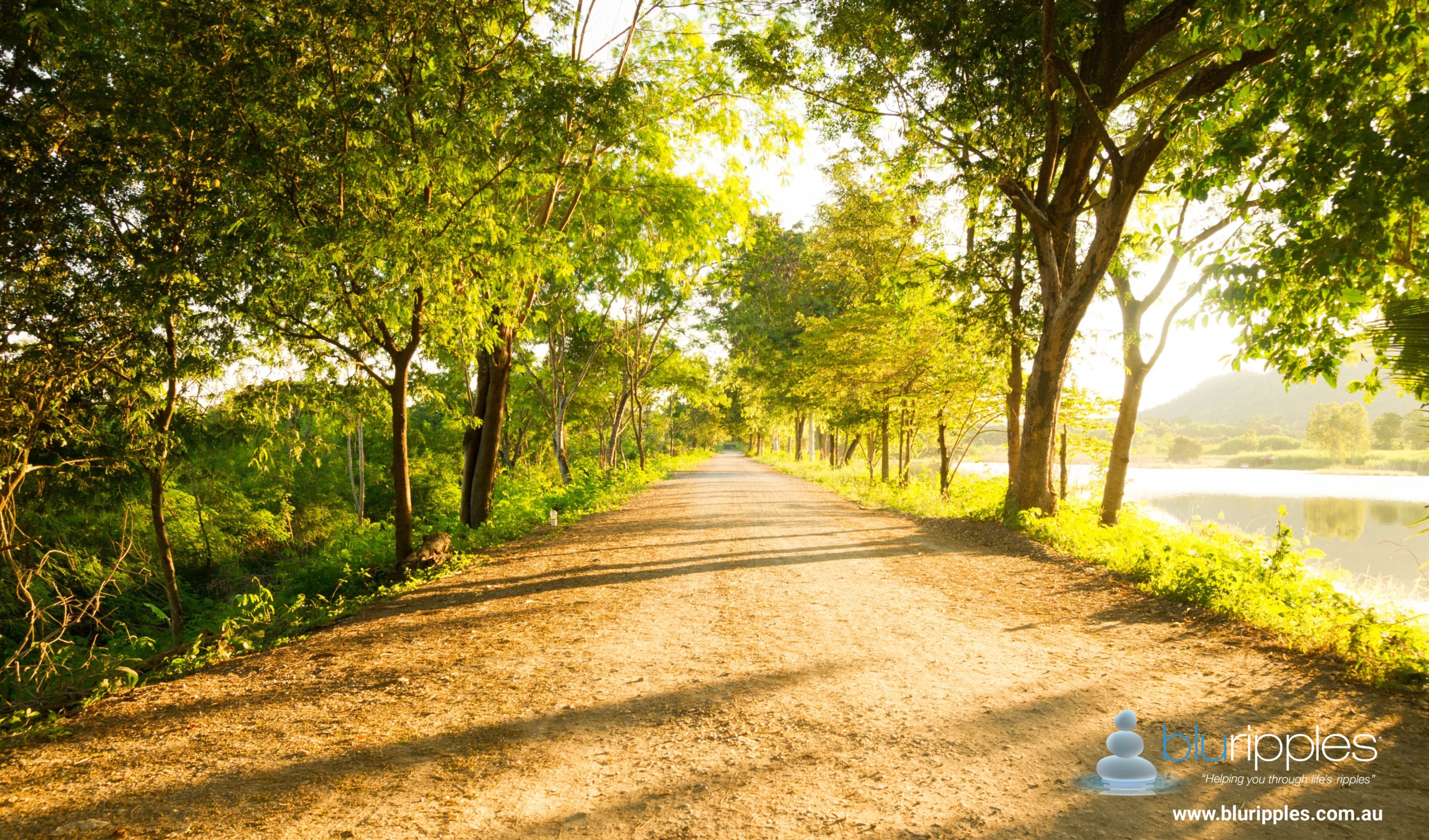 Blu Ripples Career Counselling - Sunlit path along water symbolising career transition, emotional balance, and strategic guidance across Australia.
