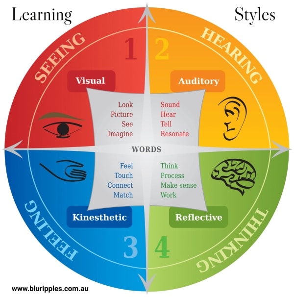 Discover your Learning Style Preferences with Blu RIpples
